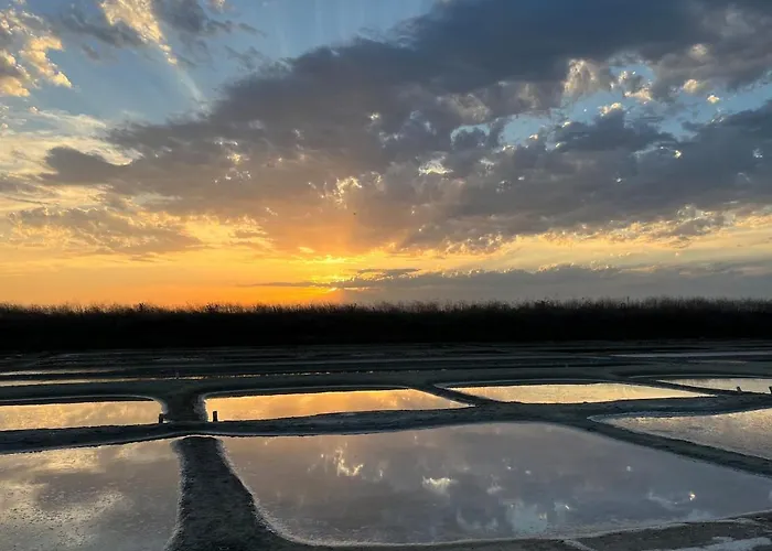 Teyo En Re Le Bois-Plage-en-Re